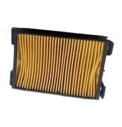 [F08010140] [F08010140]     ELEMENTO FILTRANTE RT250 2018