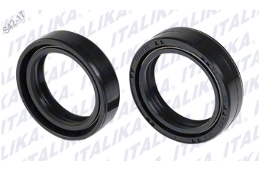 [F0106KR10] [F0106KR10]     KIT RETEN DE SUSPENSIÓN 30-40.5-10.5 WS150, DS150, WS175, X150, XW150